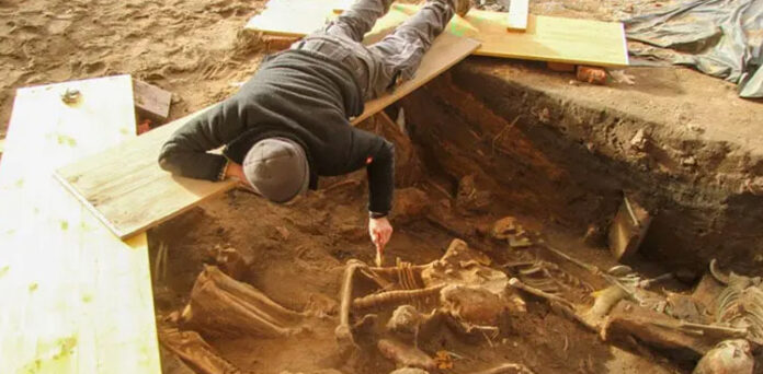 A thousand structures were discovered in the mass grave, experts were stunned
